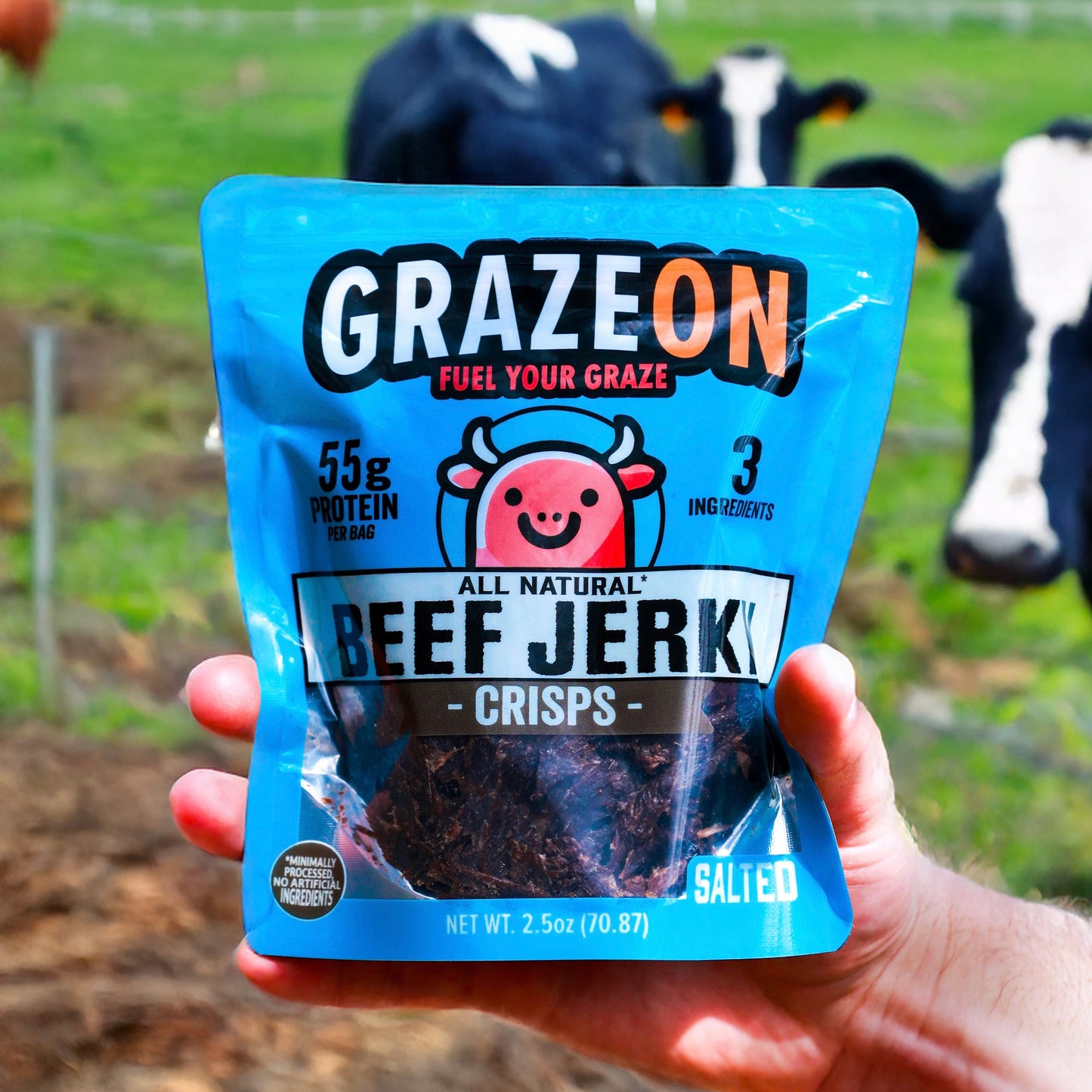 Salted Beef Jerky Crisps - 55g Protein Per Bag